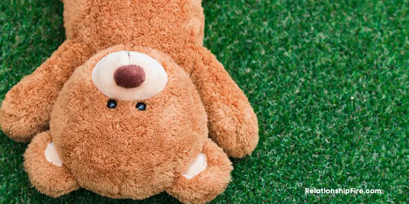 Teddy Bear in the grass—What Does It Mean When A Girl Calls You a Teddy Bear