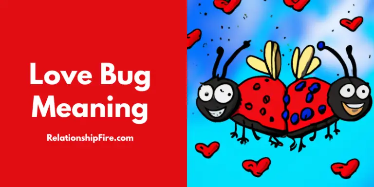 love-bug-meaning-in-dating-texts-explained-20-examples