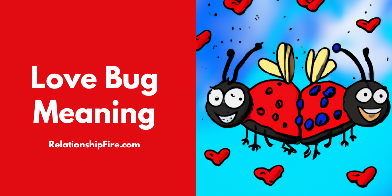 Two cartoon love bugs - Love Bug Meaning
